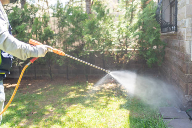 Best Organic or Eco-Friendly Pest Control  in Van Alstyne, TX